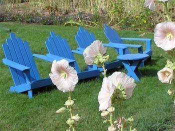 Blue Ranch Bed & Breakfast Hesperus